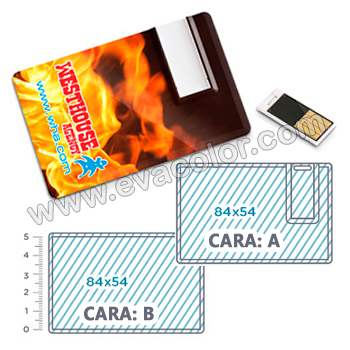 USB tarjetas personalizadas pendrive entrega express - Evacolor
